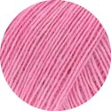 Geranierosa - 9037082