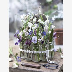 Jeanne d'Arc living Magasin 1-24