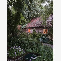 Jeanne d'Arc Living magasin nr. 6 2023