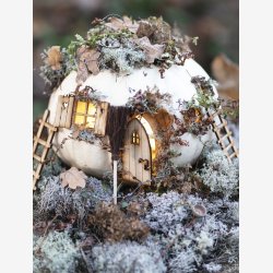 Jeanne d'Arc Living Magasin nr. 7