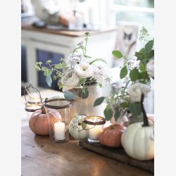 Jeanne d'Arc Living Magasin nr. 7