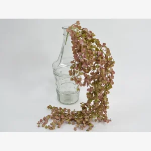 Evigheds grn/rdlig bladranke