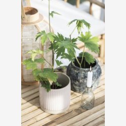 Apotekerglas til bedelys