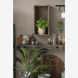 Ske olieret akacietr