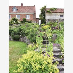 Jeanne d'Arc Living Magasin nr. 5-24