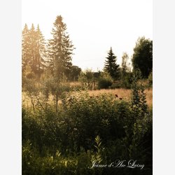 Jeanne d'Arc Living Magasin nr. 6-24