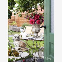 Jeanne d'Arc Living Magasin nr. 6-24