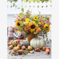 Jeanne d'Arc Living Magasin nr. 6-24