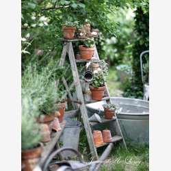 Jeanne d'Arc Living Magasin nr. 6-24