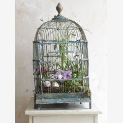 Jeanne d'Arc Living Magasin 2-24