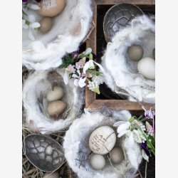 Jeanne d'Arc Living Magasin 2-24