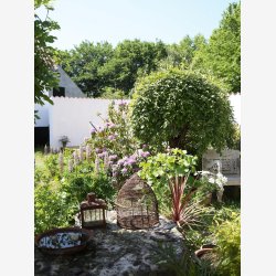 Jeanne d'Arc Living Magasin nr. 3-24