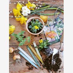 Jeanne d'Arc Living Magasin nr. 3-24