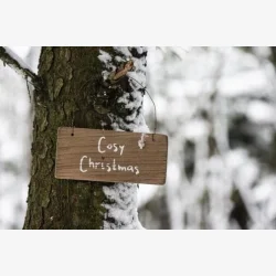Trskilt "Cosy Christmas"