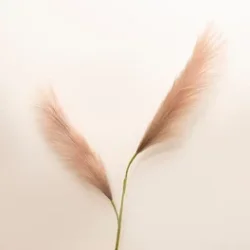 Evigheds siv med to grene, rosa