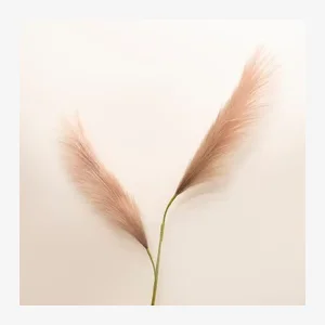 Evigheds siv med to grene, rosa