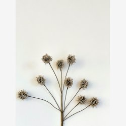 Kunstig blomst, 9 grene, 9 blomster, Crem