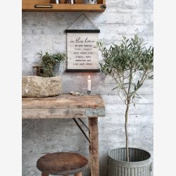 Chic Antique oliventr i gammel keramik potte. H 104 cm