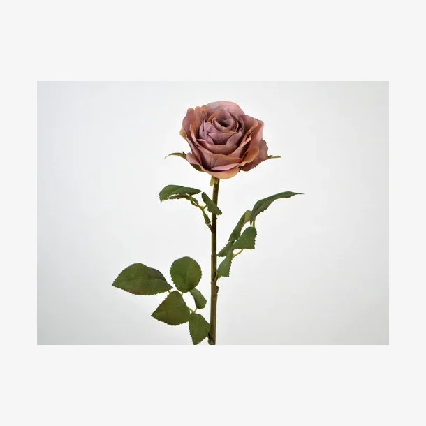 Romantisk rose, Mrk purpel, 44 cm