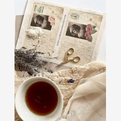 Jeanne d'Arc Living Magasin nr. 5-2023