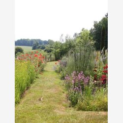 Jeanne d'Arc Living Magasin nr. 5-2023