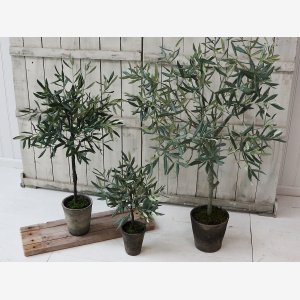 Chic Antique oliventr i gammel keramik potte. H 104 cm