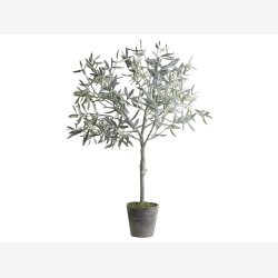 Chic Antique oliventr i gammel keramik potte. H 104 cm