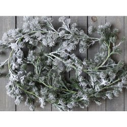 Fleur Cedertrsranke m. sne