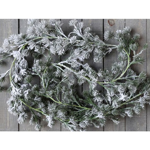 Fleur Cedertrsranke m. sne