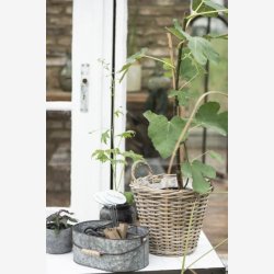 Kurv m/6 rum og trhank