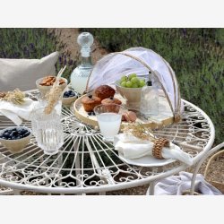 Sukkerstrer m. sknkeprop