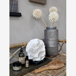 Chic Antique, ternel Hrbrste