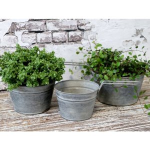 Skjuler m. hank st af 3