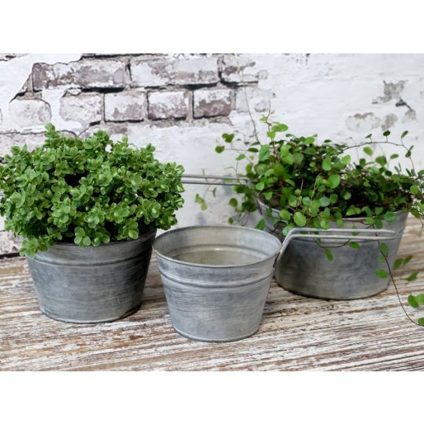 Skjuler m. hank st af 3