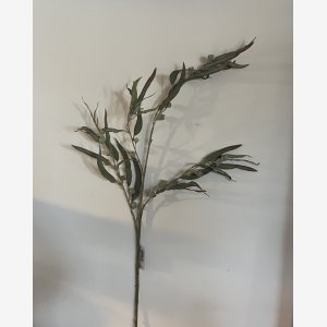 Eucalyptus gren med br,96 cm grgrn