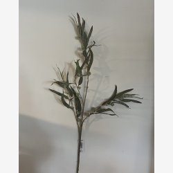 Eucalyptus gren med br,96 cm grgrn