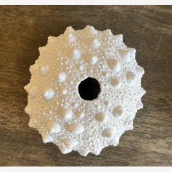 Koraller, st af 3 stk 