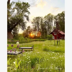 Jeanne d'Arc living Magasin nr. 5-25