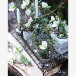 Jeanne d'Arc living Magasin nr. 8-24