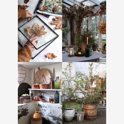 Hyggeliv, Cooffee tabel book