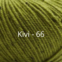 Kivi - 66