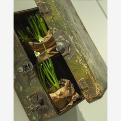 Fra kuffert til vgskab