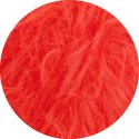 Orange - 011