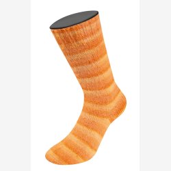 Lana Grossa, cosy Socks, soft stripes