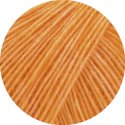 9037216 - Safran gul. 