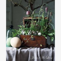 Jeanne d'Arc living Magasin nr. 2-25